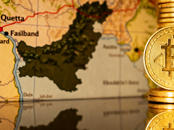 Pakistan’s Strategic Move into the Digital Economy